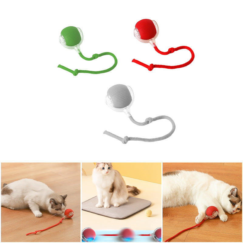 Interactive Ball for Indoor Cats