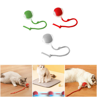 Interactive Ball for Indoor Cats