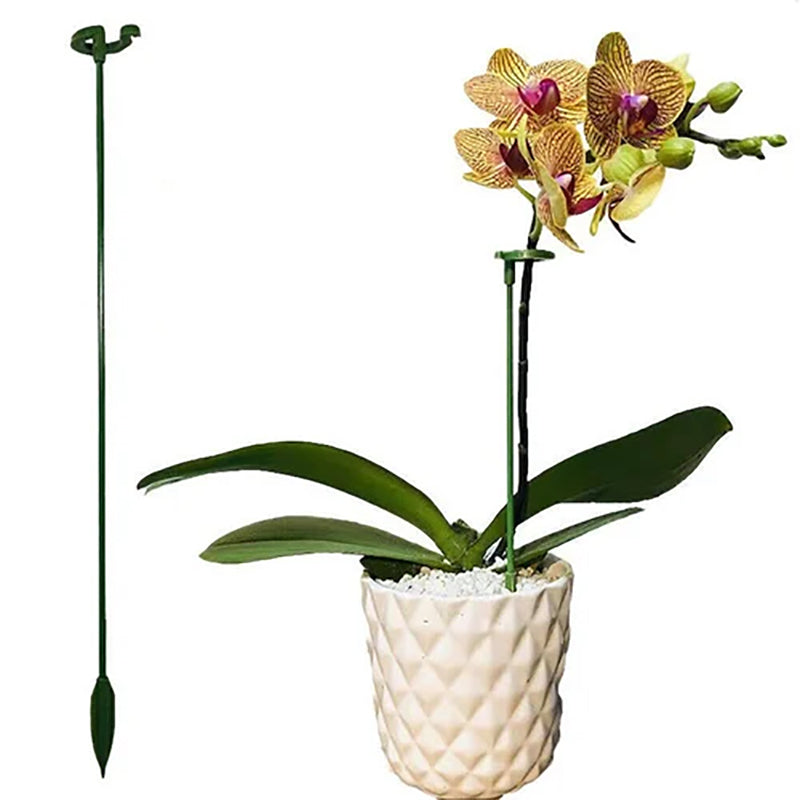 Elegant Stem Support for Thriving Plants