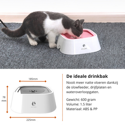 Self-Dispensing Water Fountain for Pets