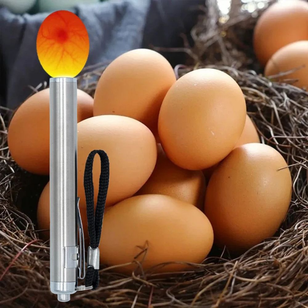 ClarityEgg Light Enhancer