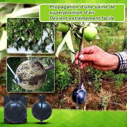 Plant Propagation Capsule for Air Layering