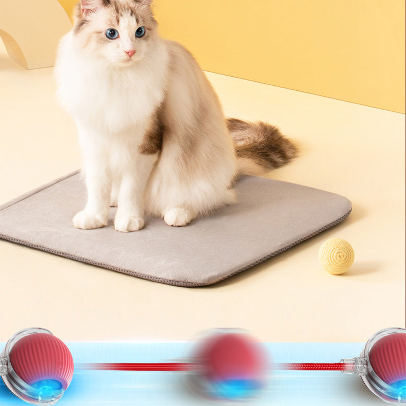Interactive Ball for Indoor Cats