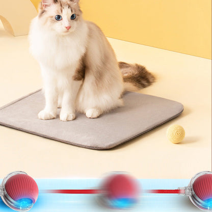 Interactive Ball for Indoor Cats
