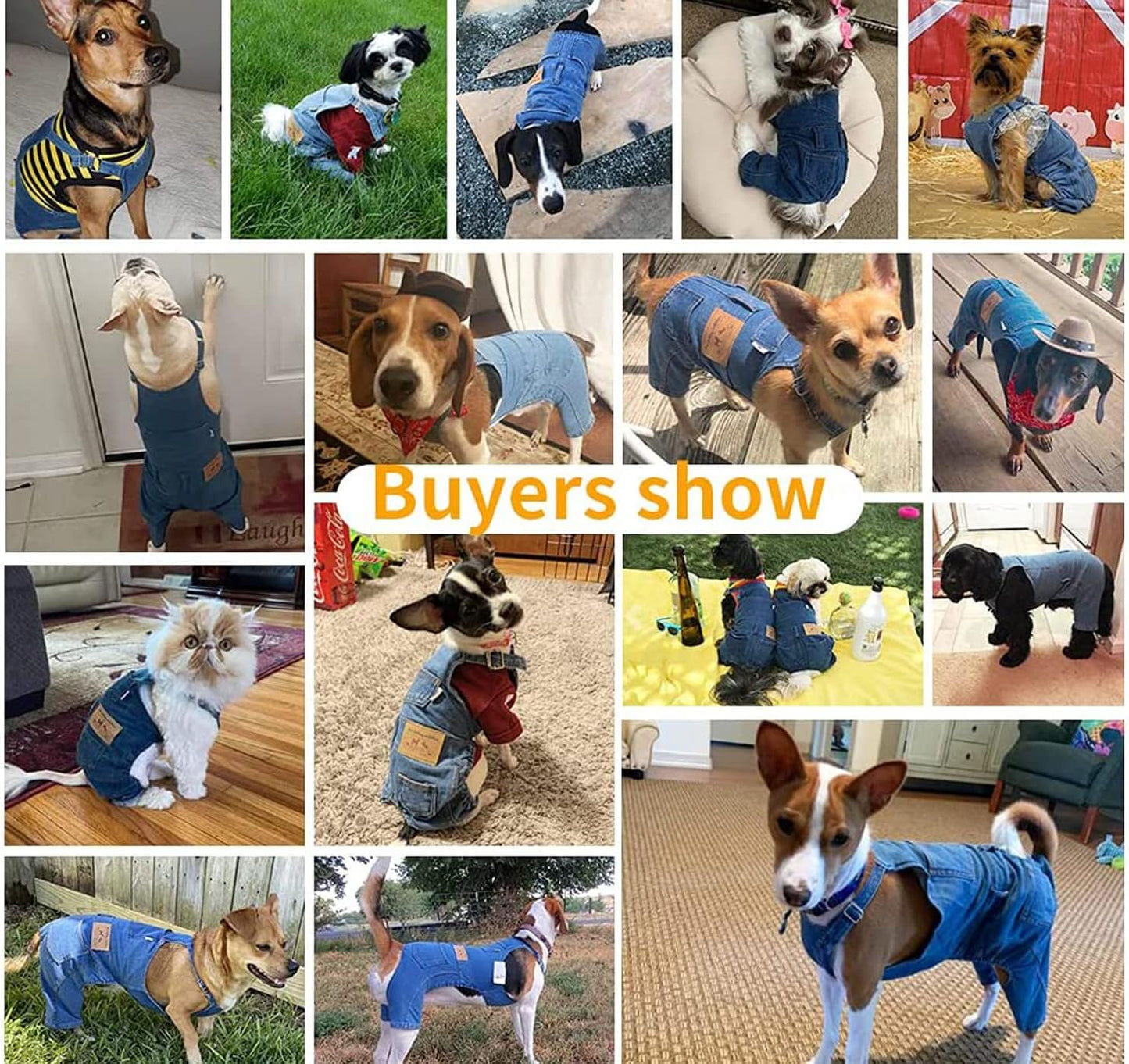 Lightweight Summer Jumpsuit for Pets – Stay Cool & Stylish