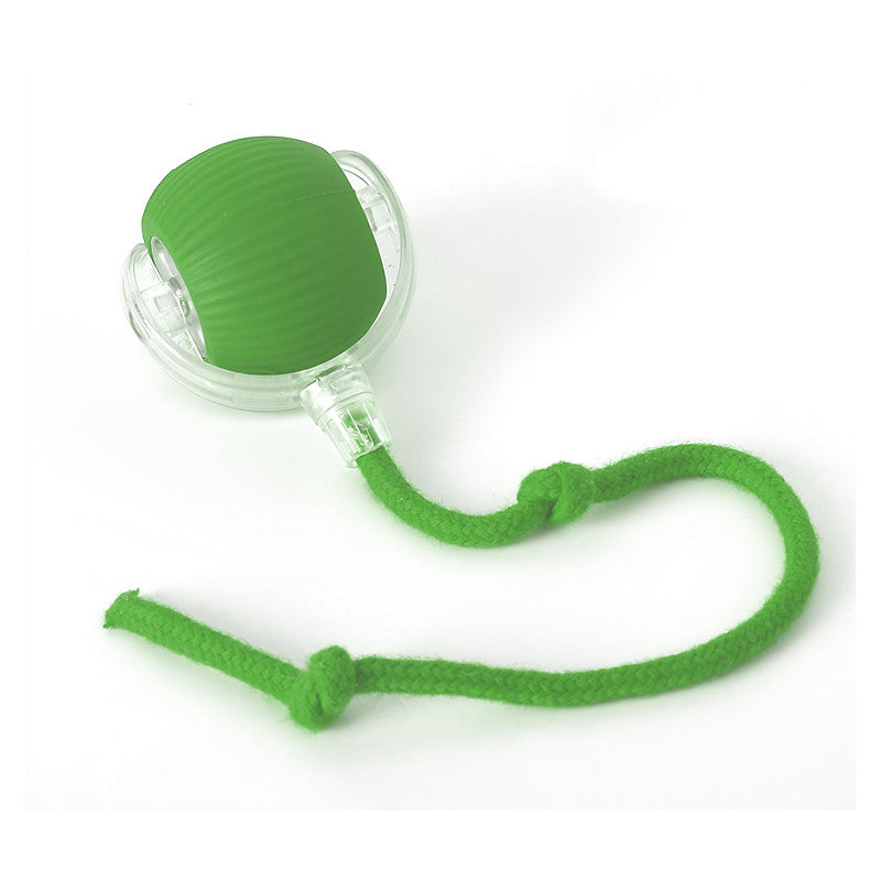Interactive Ball for Indoor Cats