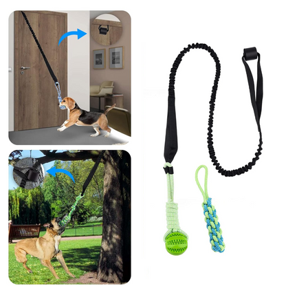 Endless Bouncing Fun for Your Dog - Springball Pro