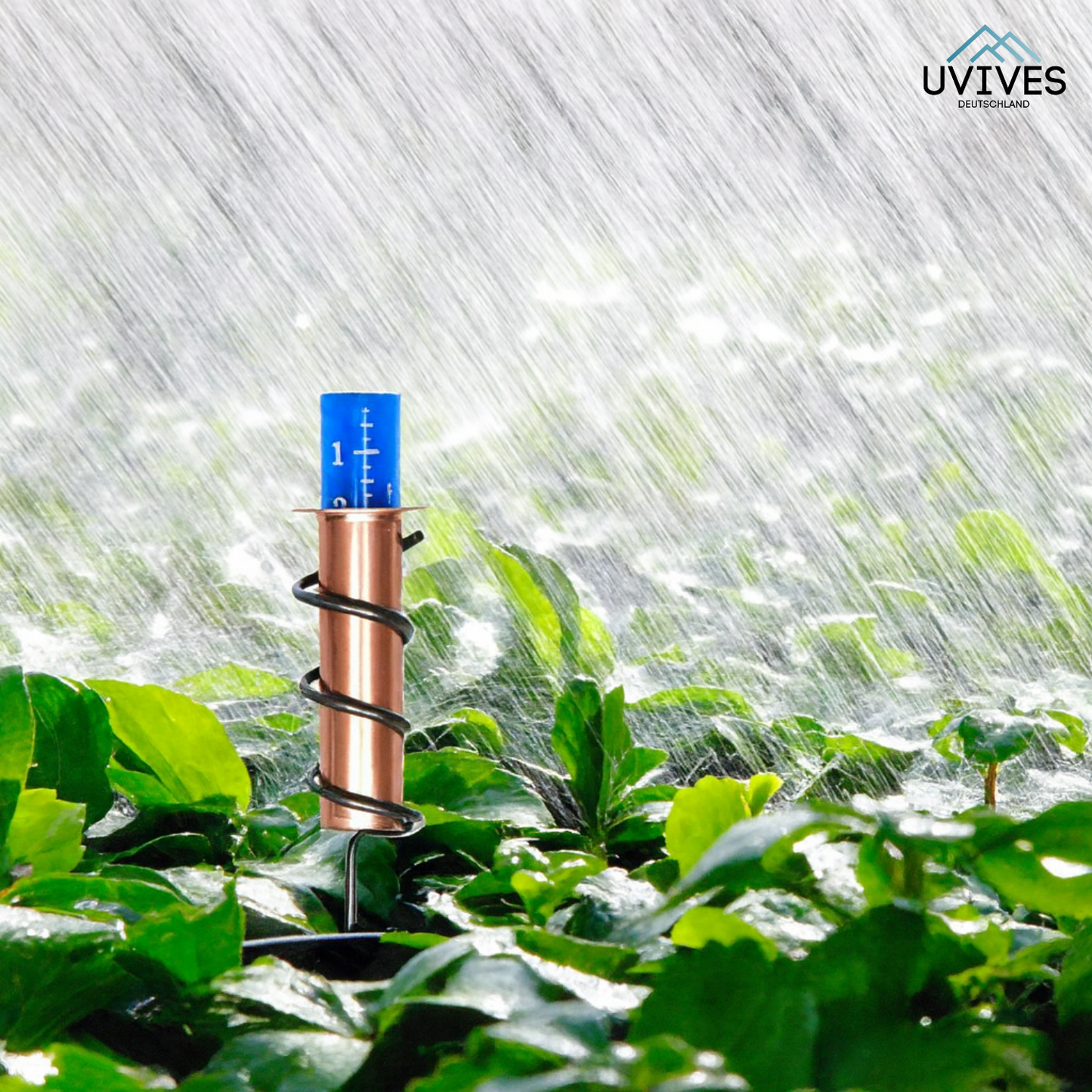 Antique-Style Rain Gauge for Measuring Precipitation