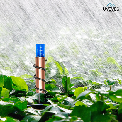 Antique-Style Rain Gauge for Measuring Precipitation