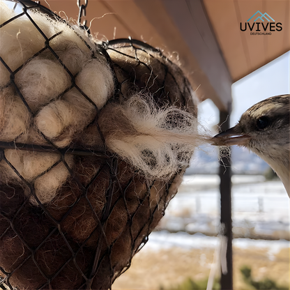 Attract More Birds Instantly and Warm Up Your Garden