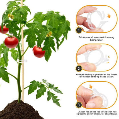 Support Clips for Healthy Plant Growth
