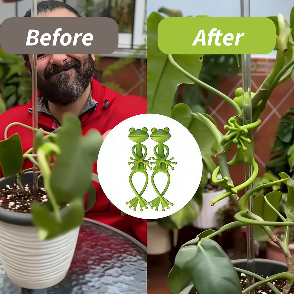 Vertical Plant Support for Healthy Climbing Plants