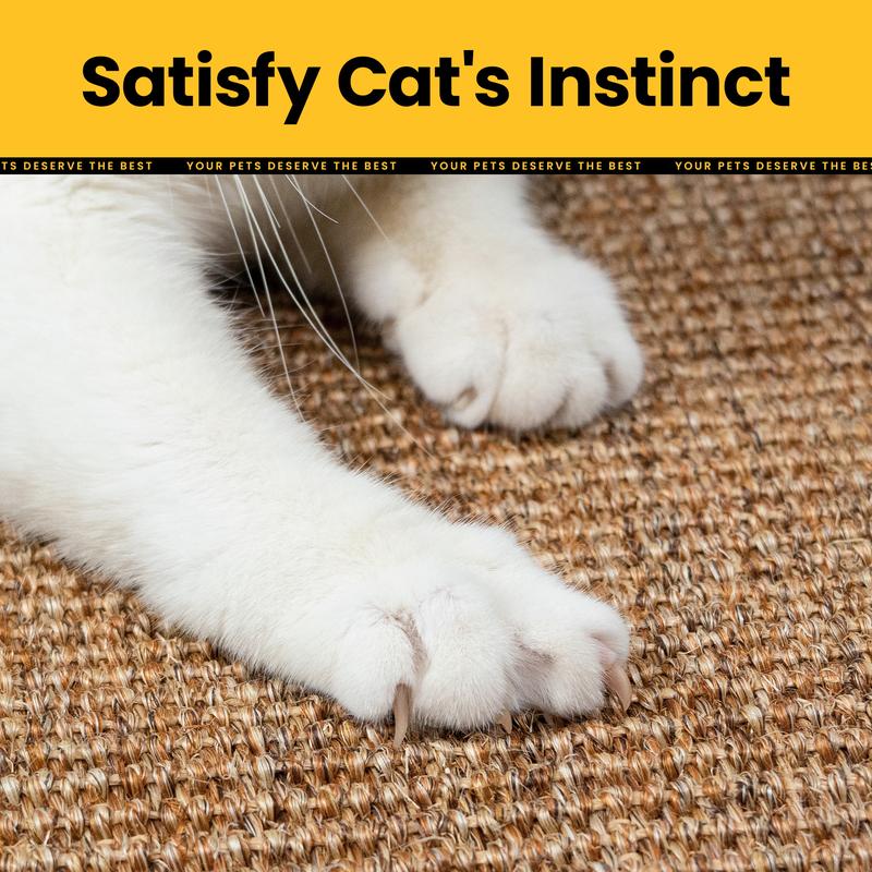 Natural Nail Care for Pets – Protect Your Furniture!