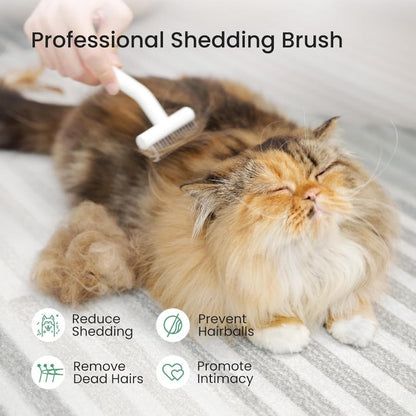 Instant Fur Control for a Clean, Happy Pet
