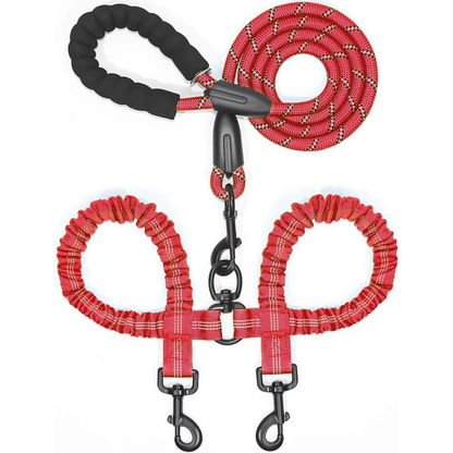 Effortless Walks with Two Dogs – Tangle-Free Design