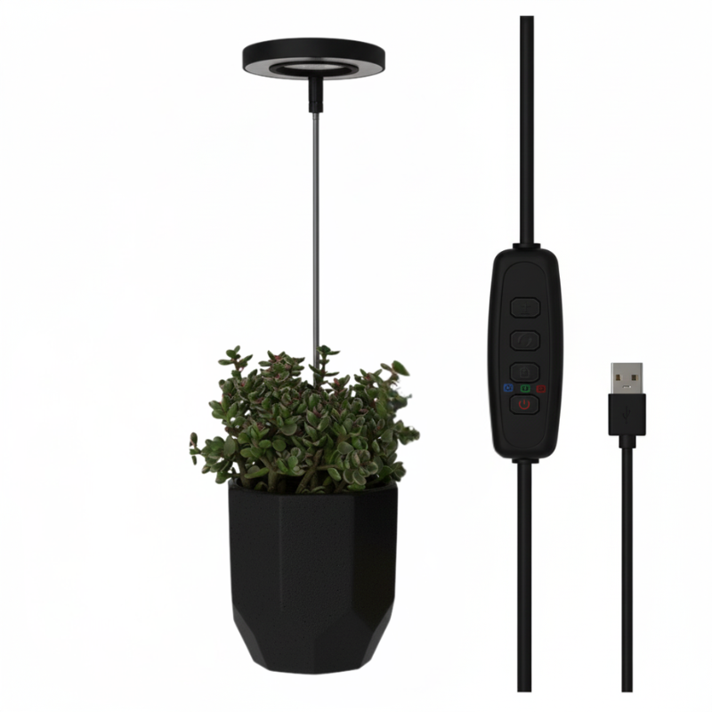 Keep Your Houseplants Healthy and Lively Year-Round