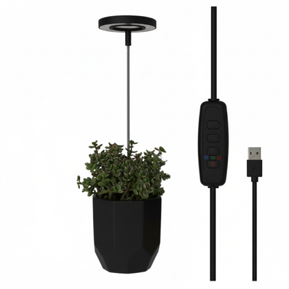 Keep Your Houseplants Healthy and Lively Year-Round
