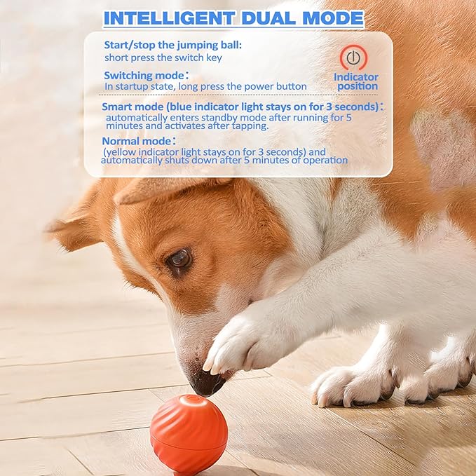 Interactive Dog Play Ball for Engaging Fetch Games