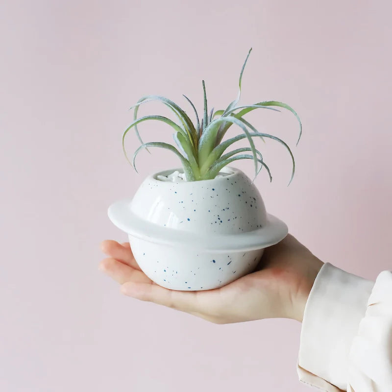 Instant Shine for Any Room with Vibrant Charm