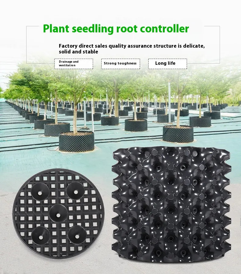 Enhanced Root Growth Solution for Flourishing Plants
