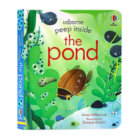 Pond
