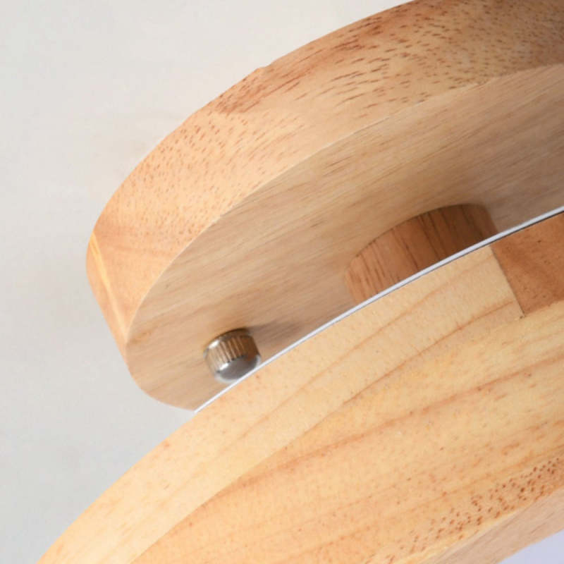 Contemporary LED Ceiling Light Fixture