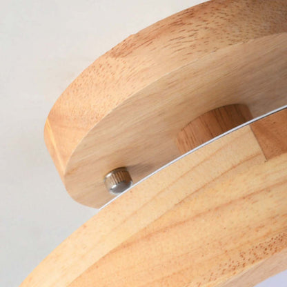 Contemporary LED Ceiling Light Fixture