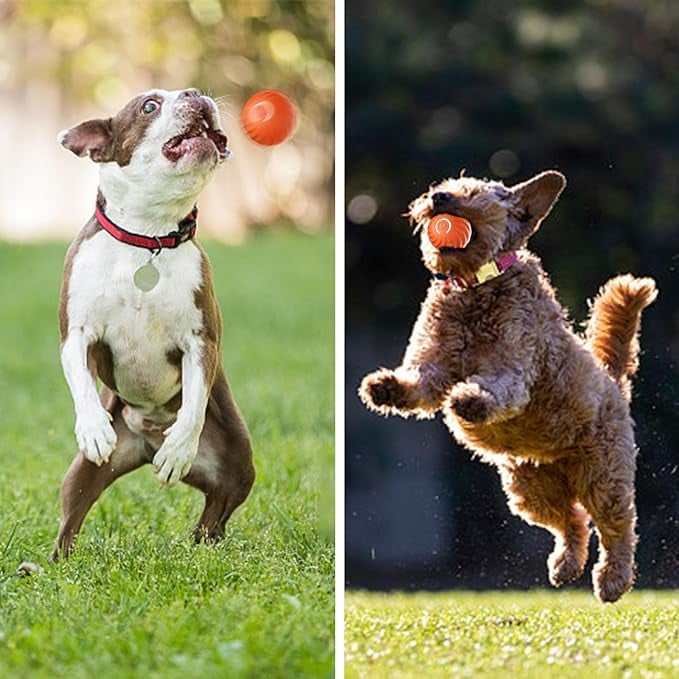 Interactive Dog Play Ball for Engaging Fetch Games