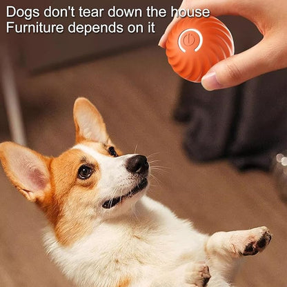 Interactive Dog Play Ball for Engaging Fetch Games