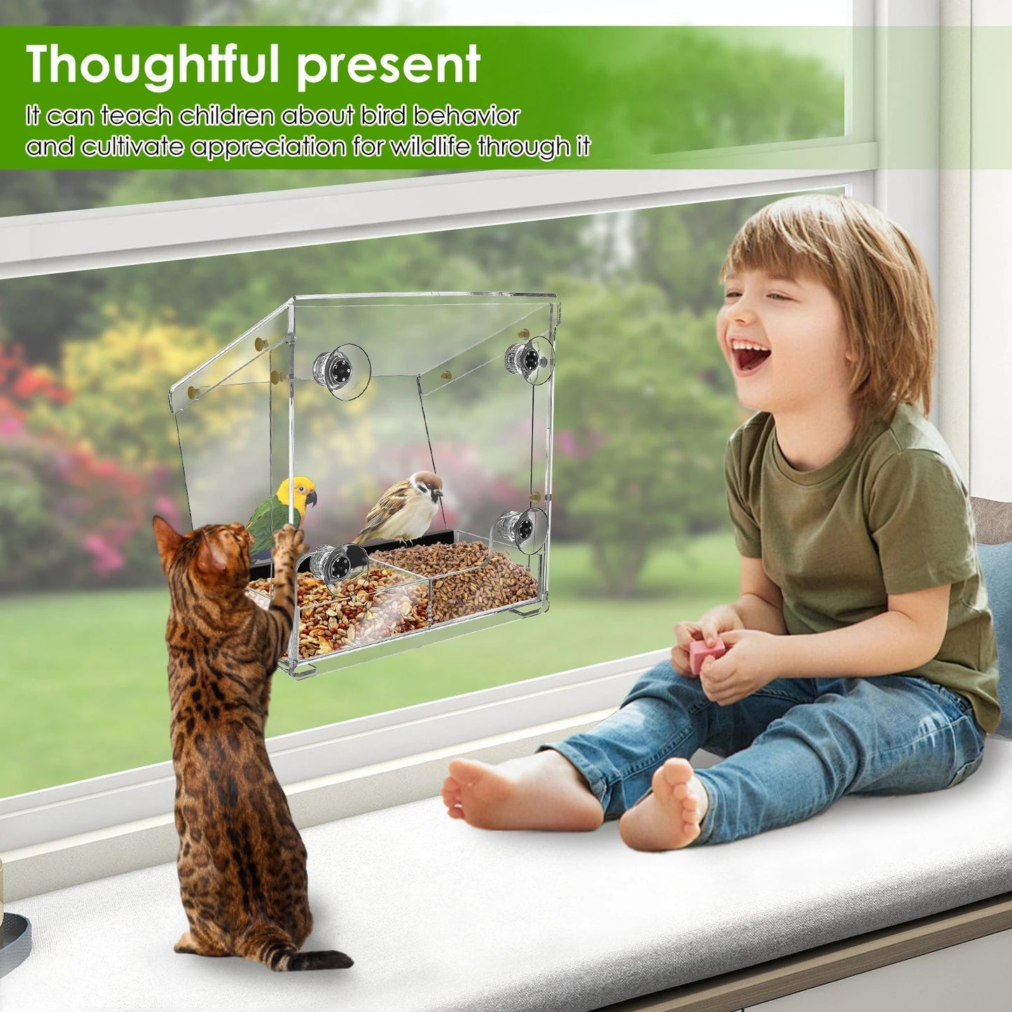 Acrylic Bird Feeder with Suction Cups for Window Mounting - Clear Design