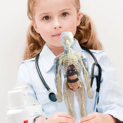 Interactive 3D Human Anatomy Model for Learning & Teaching