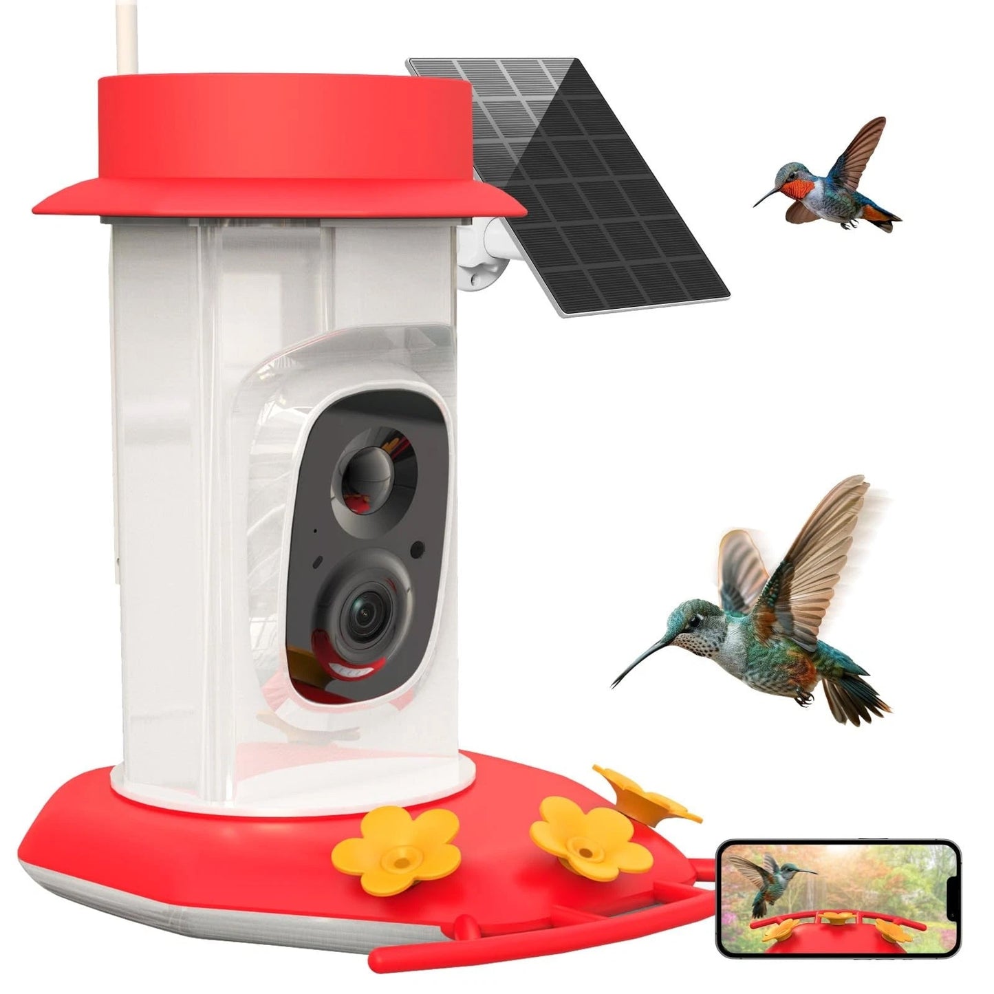 Nourishing Bird Food Formula