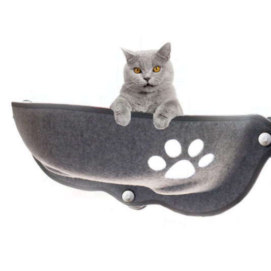 Cozy Cat Lounge for Optimal Window View