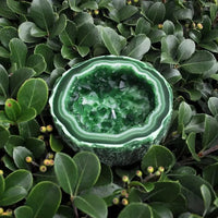 Green (grounded by sage)