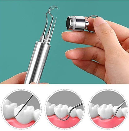 Stainless Steel Toothpick Set of 7 Pieces