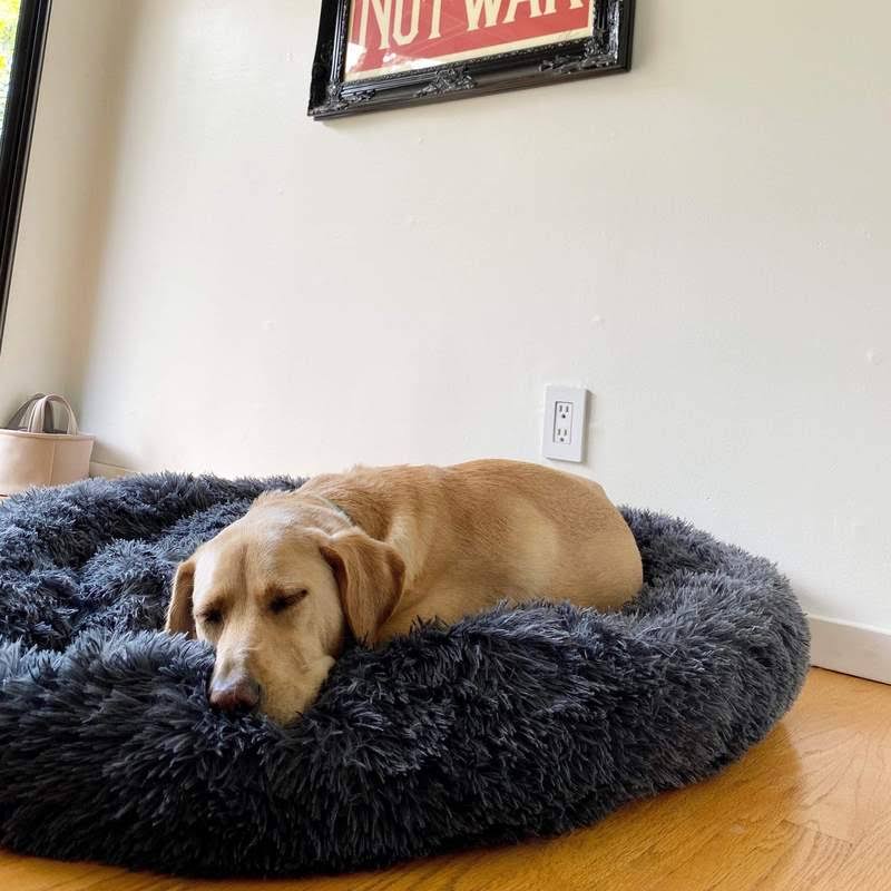 Dog Bed for Relaxation and Comfort