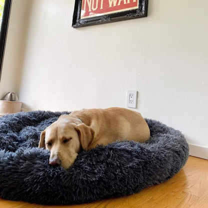 Dog Bed for Relaxation and Comfort