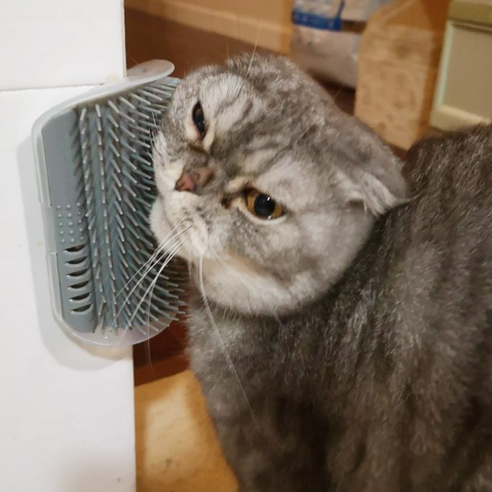 Purrfect Self-Care Brush for Your Feline Friend