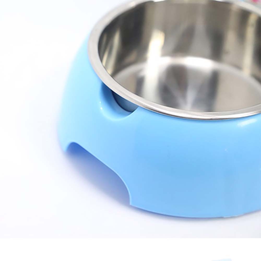 All-in-One Pet Feeding Station - Hydrate & Nourish