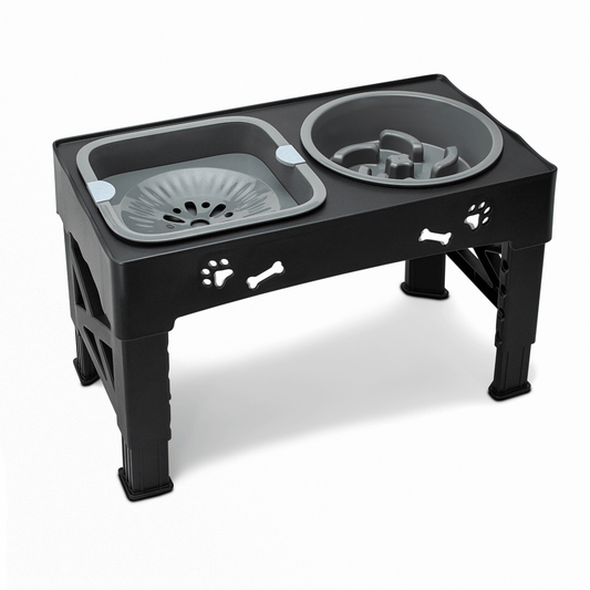 All-in-One Pet Bowl Stand for Healthier Meals