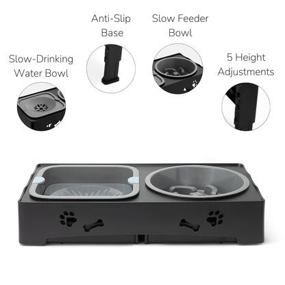 All-in-One Pet Bowl Stand for Healthier Meals