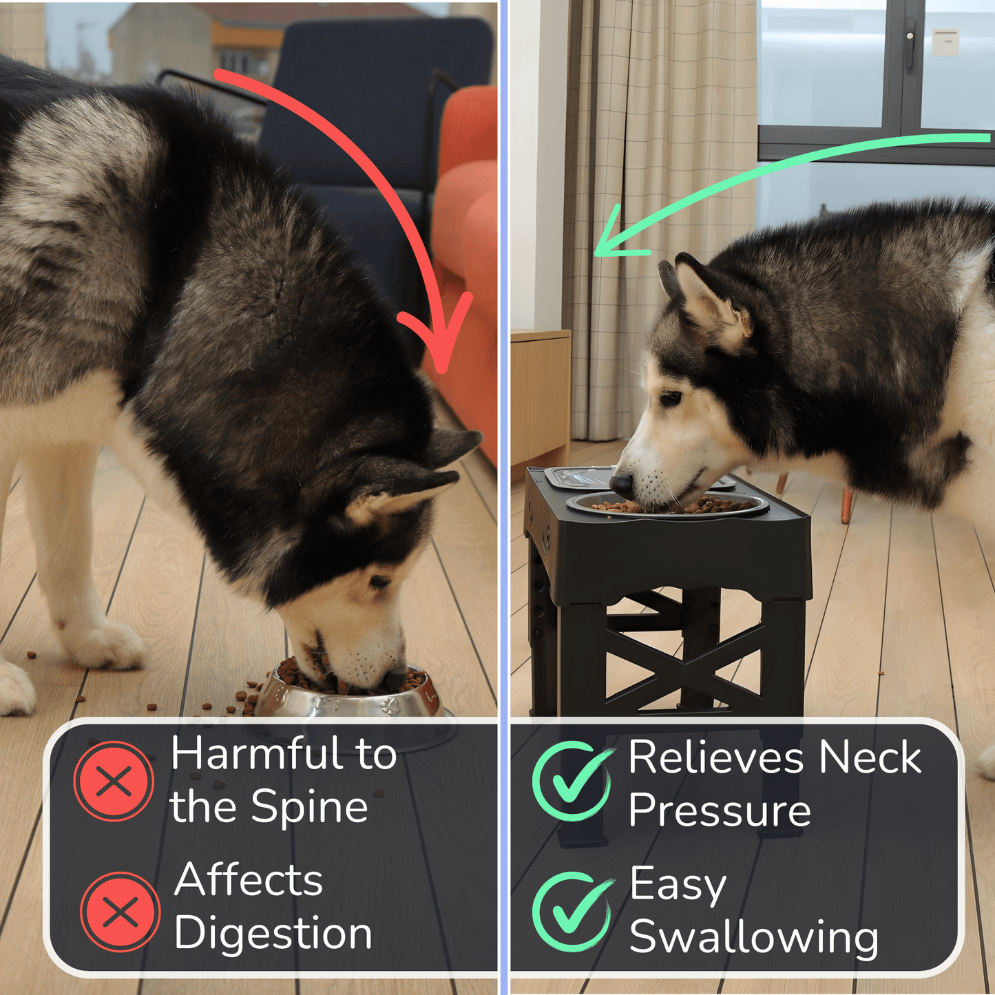 All-in-One Pet Bowl Stand for Healthier Meals
