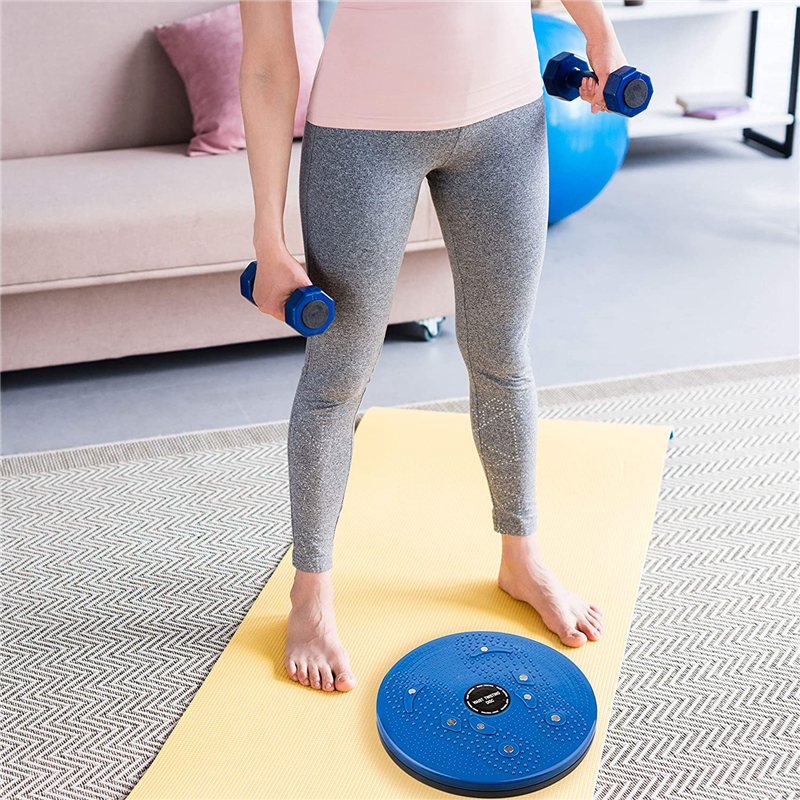 FlexiTwist Home Fitness Trainer