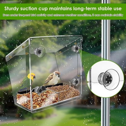 Acrylic Bird Feeder with Suction Cups for Window Mounting - Clear Design