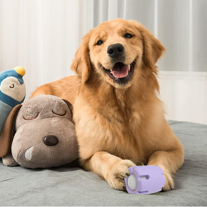 Enhance Your Dog's Energy, Dental Health, and Happiness