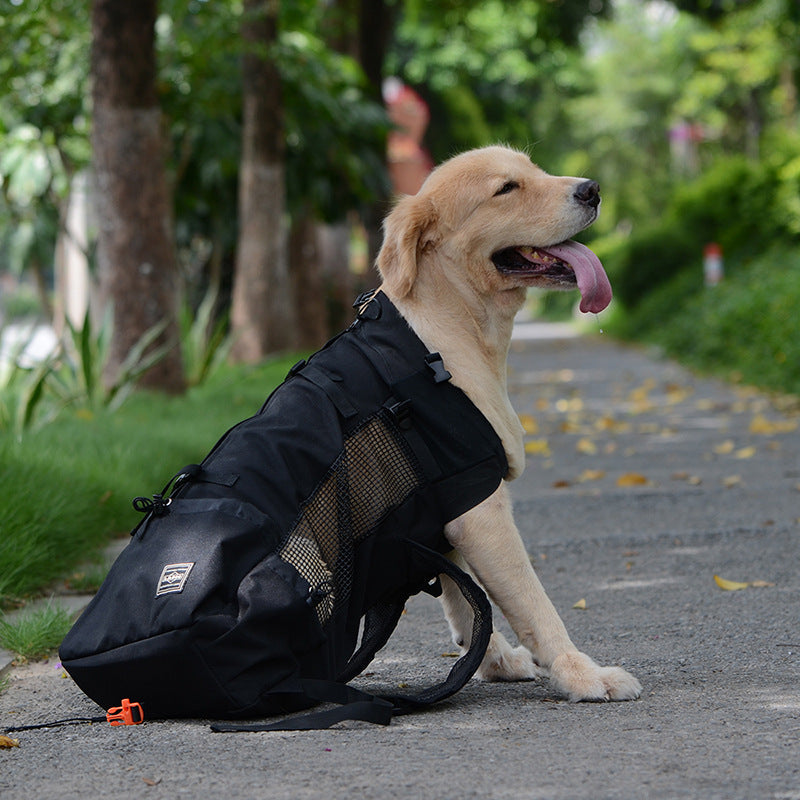 Medium Dog Backpack – Comfortable Carry Bag with Safety Strap & Storage Pockets