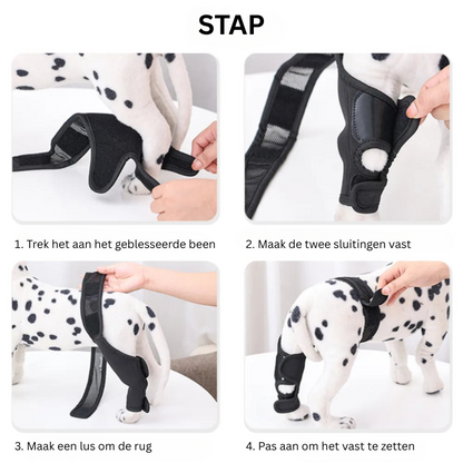 Knee Support Brace for Dogs – Joint Pain Relief and Rehabilitation