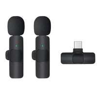 Type-C (dual microphone)