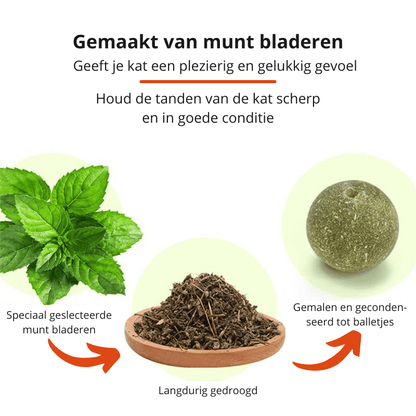 Catnip Toy for Cats – Rotating Ball & Mint for Dental Health