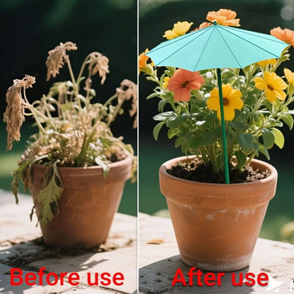 Outdoor Sunshade for Plants